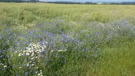 20150625_101129.webp