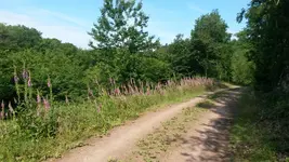 20150625_103011.webp