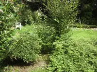 BILD5575.webp
