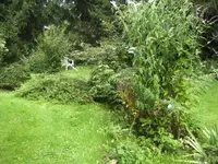 BILD5577.webp