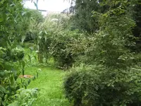 BILD5581.webp