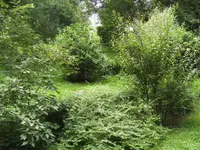BILD5582.webp