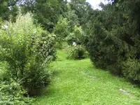 BILD5583.webp