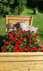 20160706_091238-1.webp