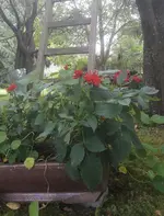 20160810_094142-1.webp