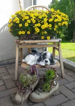 20160706_091853-1.webp