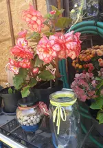 20160817_131739-1.webp