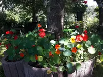 20160816_144310.webp