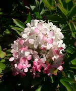 20160816_141103-1.webp