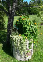 20160816_144521-1.webp