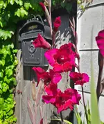 20160816_141346_Richtone(HDR)-1.webp