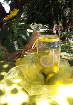 20160719_111838(0)-1.webp