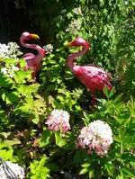20160816_141057-1.webp