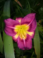 DSCI4464.webp