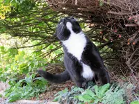 IMG_3204 v.webp