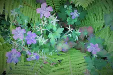 DSCF7072 (2).webp