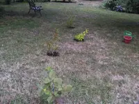 BILD3047.webp