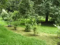 BILD5592.webp
