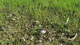 20160817_174443_resized_1.webp