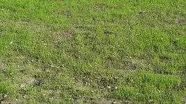 20160817_174446_resized_1.webp