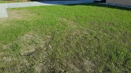 20160817_174459_resized_1.webp