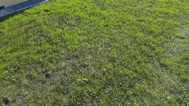 20160817_174507_resized_1.webp