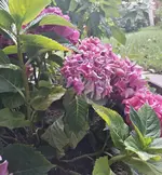20160818_114801_Richtone(HDR)-1.webp