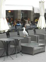 DSCN4580.webp