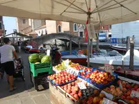 DSCN4356.webp