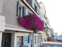 DSCN4361.webp