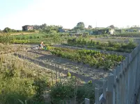 DSCN4362.webp