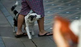 _MG_4101.webp