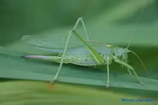 comp_DSC05664.jpg
