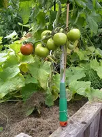IMGP9662.webp