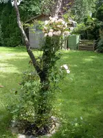IMGP9672.JPG