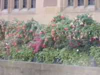 P1220850.webp