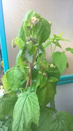 WP_20160819_08_21_09_Pro.webp