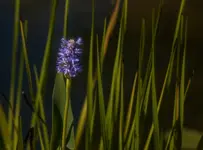 IMG_6026-2.webp