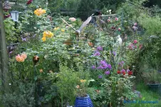 comp_DSC05667.webp