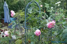 comp_DSC05673.webp