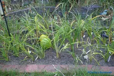 comp_DSC05669.webp