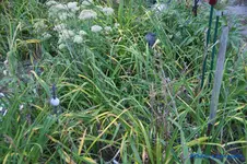 comp_DSC05670.webp