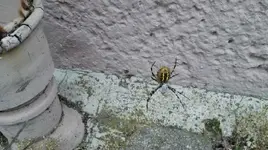 IMG_20160819_201541.webp