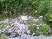 20160819_133352.webp
