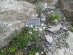 20160819_132719.jpg