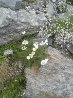 20160819_132648.jpg