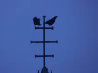DSCN8651.jpg