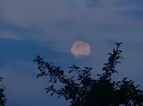 DSCN8666.webp