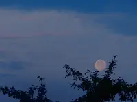 DSCN8688.webp
