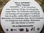 Dicker Beipackzettel.jpg